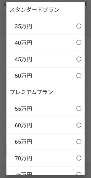 LINEポケットマネー増額の限度額選択画面